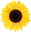 Sunflower Dental